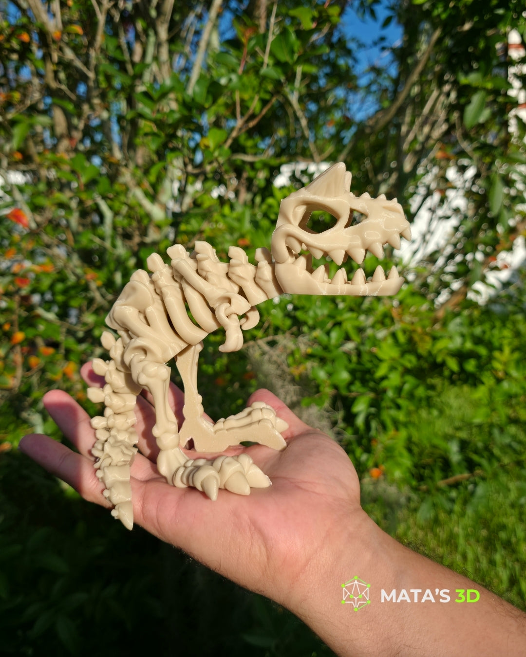 Articulated Carnotaurus Skeleton – 3D Printed Flexi Dinosaur