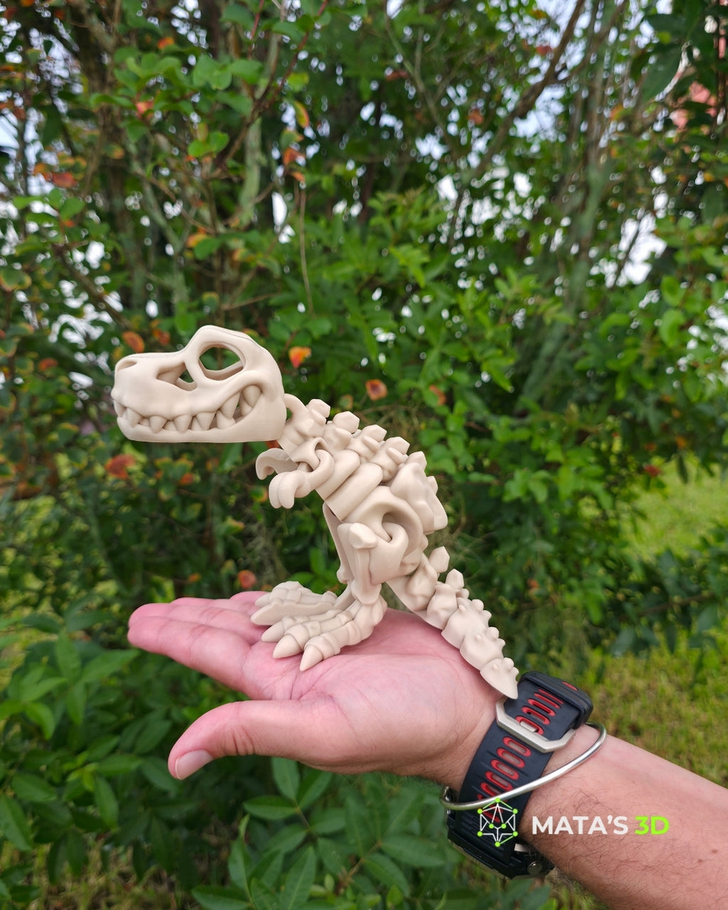 Articulated T-Rex Skeleton – 3D Printed Flexi Dinosaur