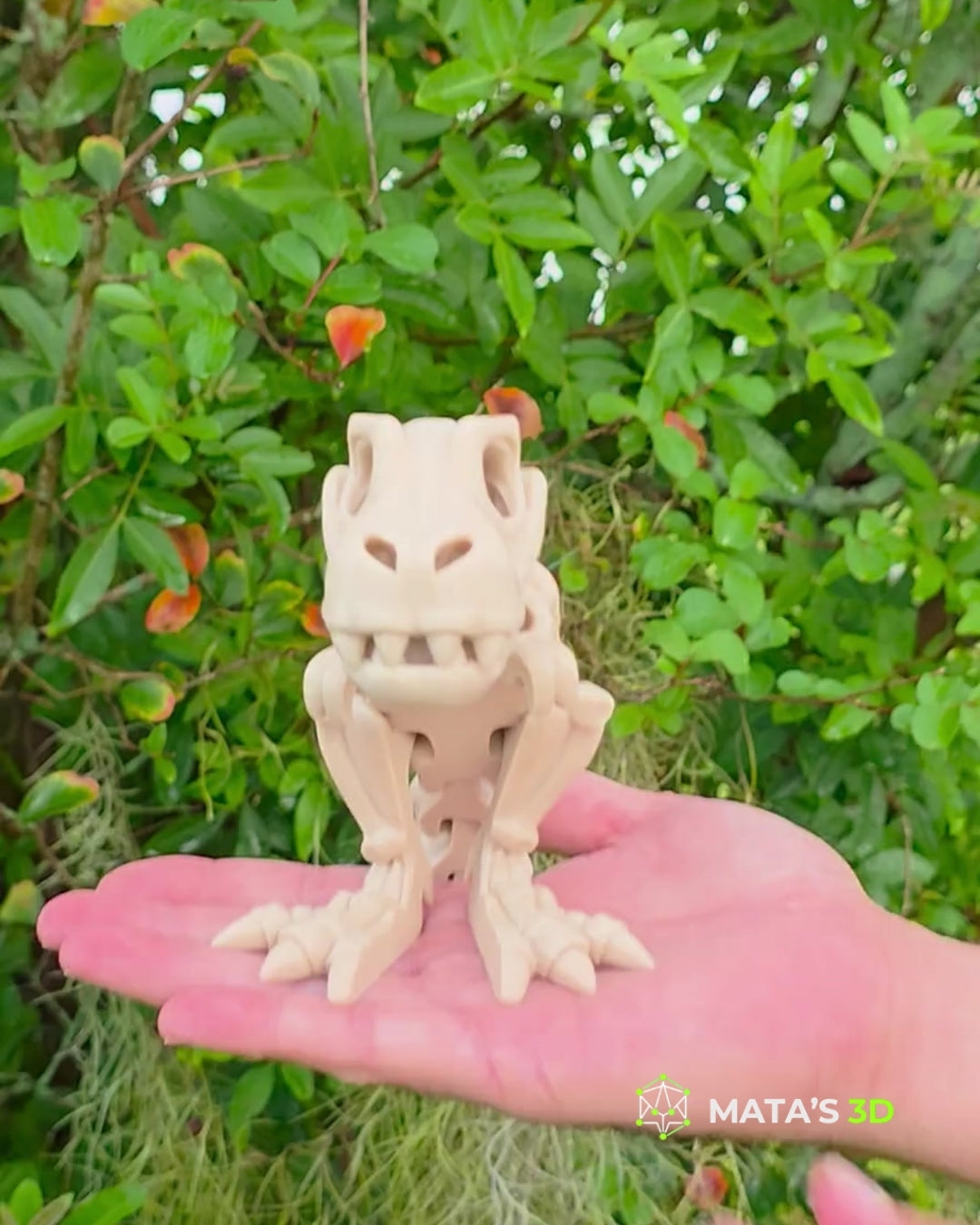Articulated T-Rex Skeleton – 3D Printed Flexi Dinosaur