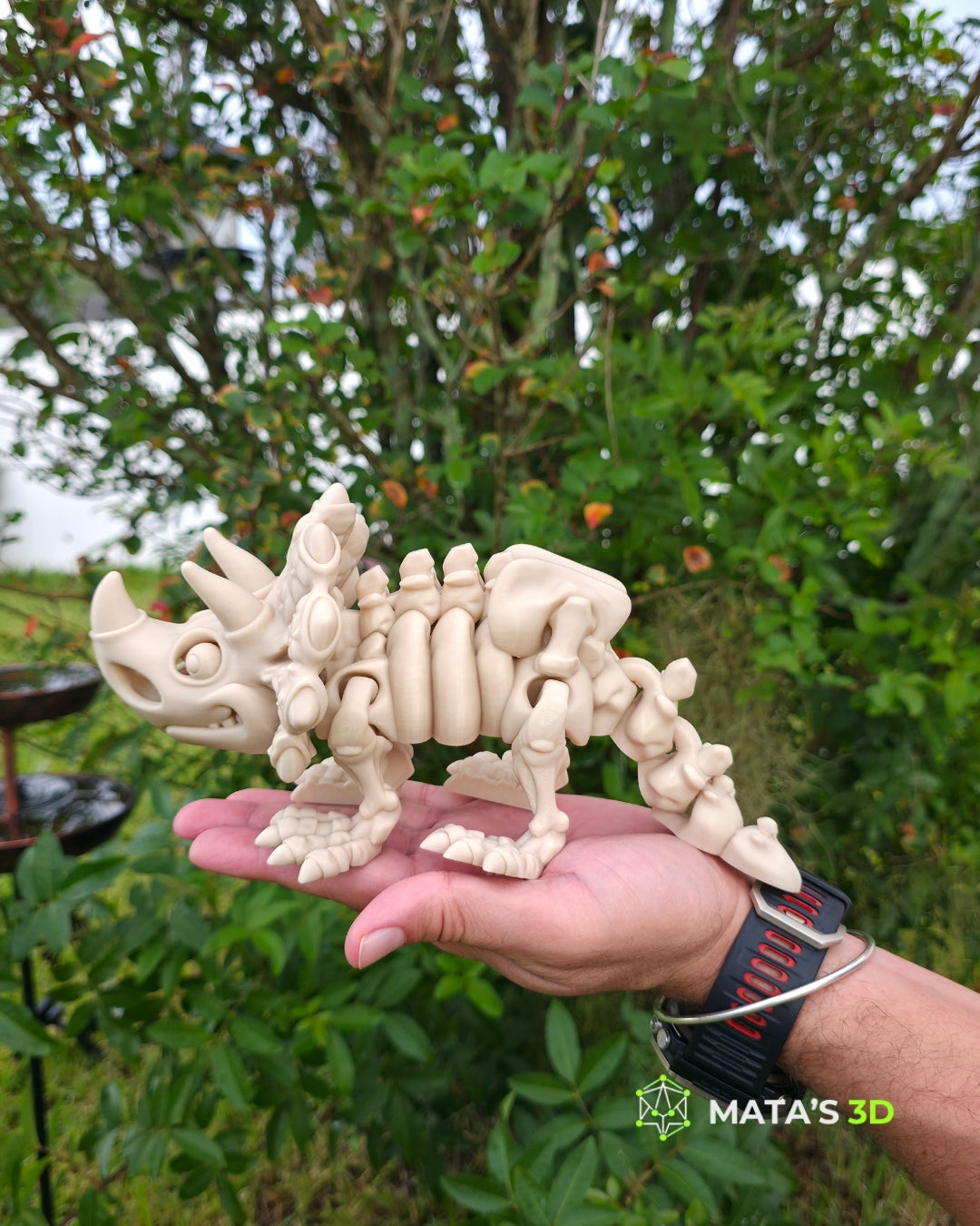 Articulated Triceratops Skeleton – 3D Printed Flexi Dinosaur