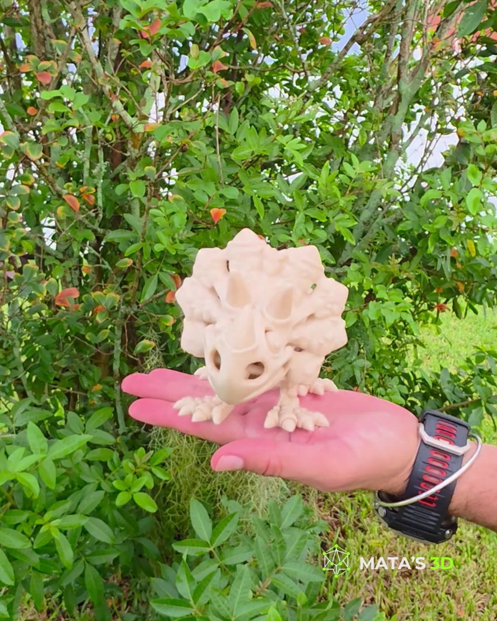 Articulated Triceratops Skeleton – 3D Printed Flexi Dinosaur