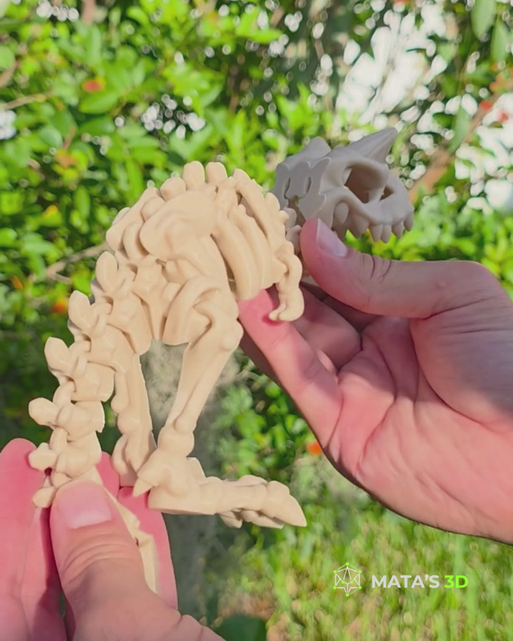 Articulated Carnotaurus Skeleton – 3D Printed Flexi Dinosaur