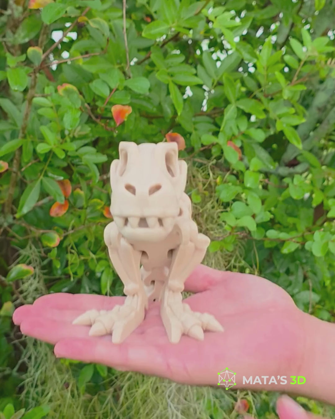 Articulated T-Rex Skeleton – 3D Printed Flexi Dinosaur