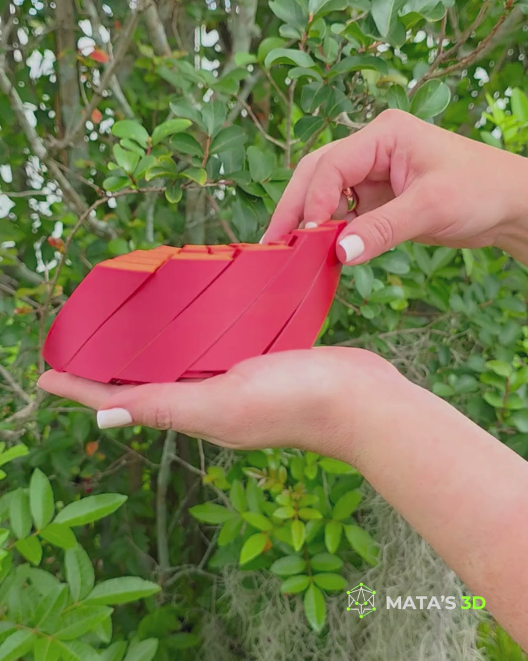 Spiral Flexi – Premium 3D Printed Kinetic Toy